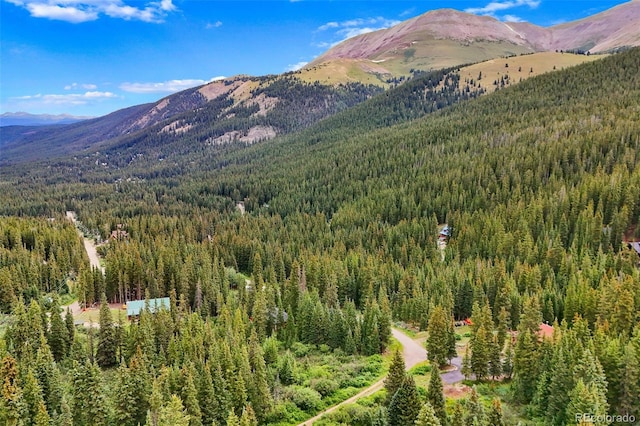 0057 County Road 675, Breckenridge, CO 80424 - photo 24