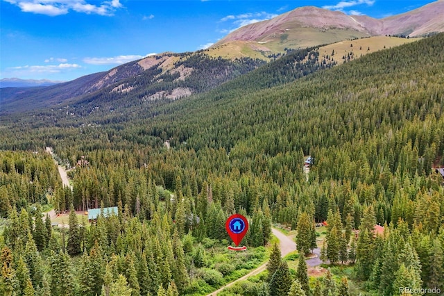 0057 County Road 675, Breckenridge, CO 80424 - photo 25