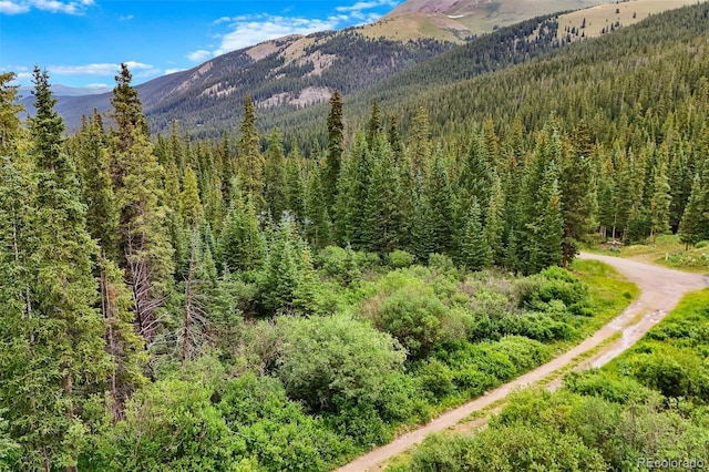 0057 County Road 675, Breckenridge, CO 80424 - photo 26