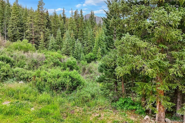 0057 County Road 675, Breckenridge, CO 80424 - photo 27