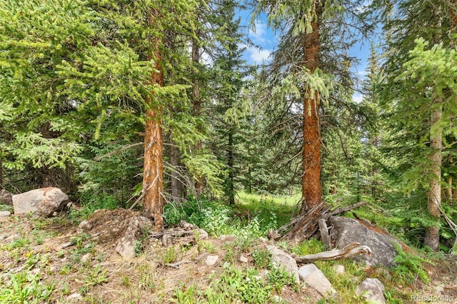 0057 County Road 675, Breckenridge, CO 80424 - photo 28