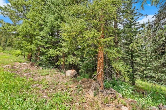 0057 County Road 675, Breckenridge, CO 80424 - photo 29