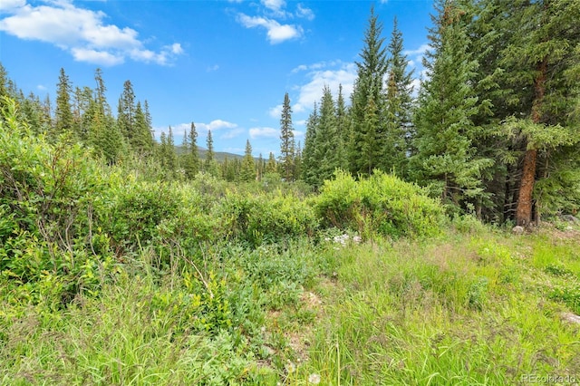 0057 County Road 675, Breckenridge, CO 80424 - photo 30