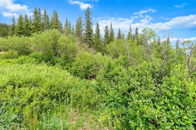 0057 County Road 675, Breckenridge, CO 80424 - photo 31