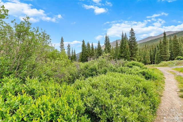 0057 County Road 675, Breckenridge, CO 80424 - photo 32