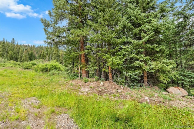 0057 County Road 675, Breckenridge, CO 80424 - photo 33