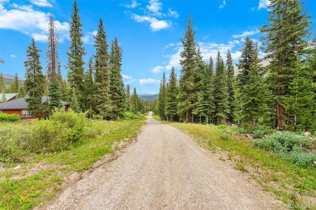 0057 County Road 675, Breckenridge, CO 80424 - photo 34
