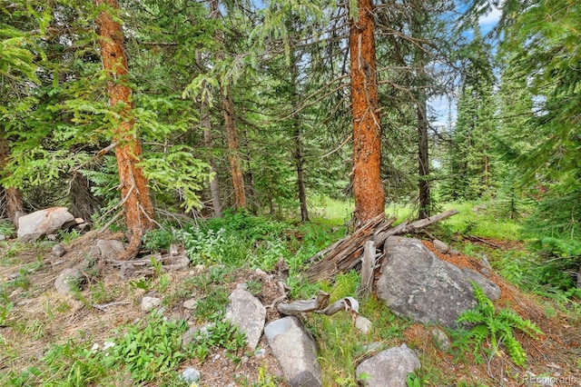 0057 County Road 675, Breckenridge, CO 80424 - photo 35