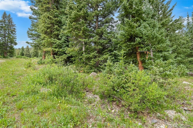 0057 County Road 675, Breckenridge, CO 80424 - photo 36