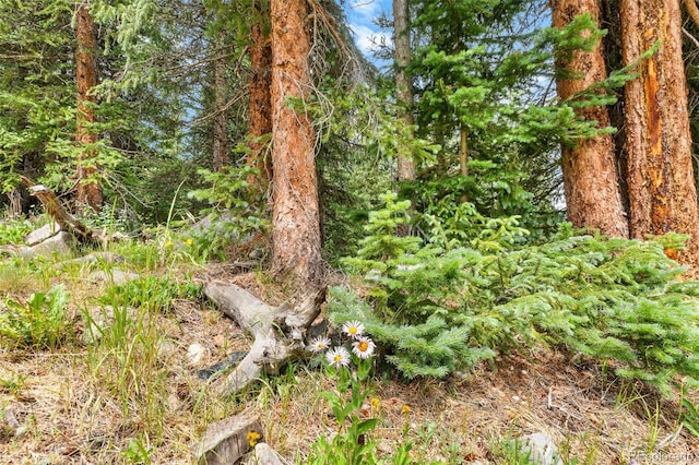 0057 County Road 675, Breckenridge, CO 80424 - photo 37
