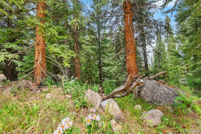 0057 County Road 675, Breckenridge, CO 80424 - photo 38