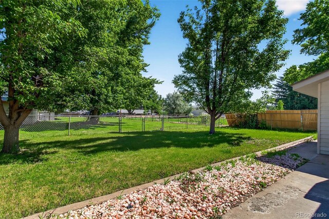 1637 Grand Ave, Canon City, CO 81212 - photo 31