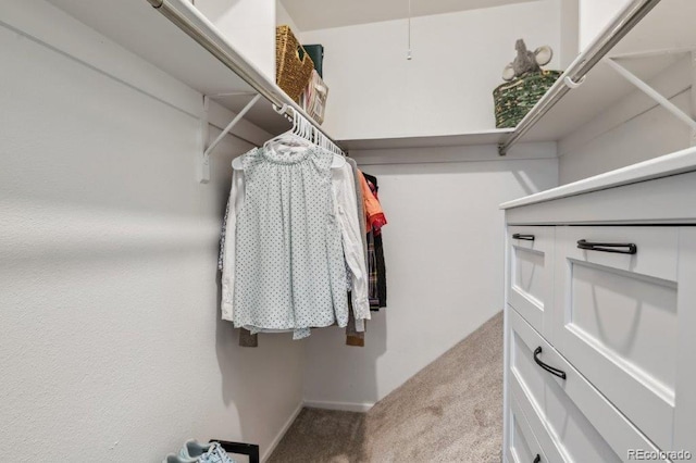 9195 E Lehigh Ave Unit 162, Denver, CO 80237 - photo 19