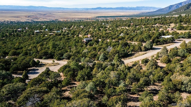 1262 Forest Grv, Crestone, CO 81131