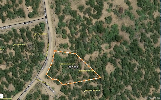 1262 Forest Grv, Crestone, CO 81131