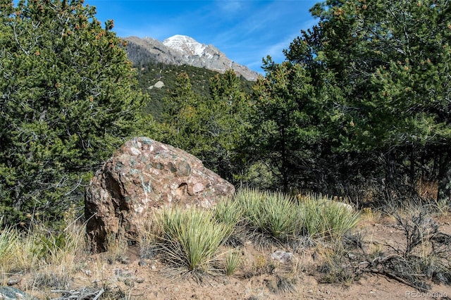 1262 Forest Grv, Crestone, CO 81131