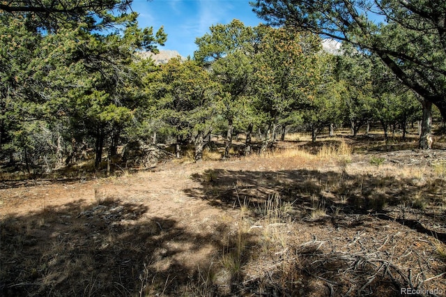1262 Forest Grv, Crestone, CO 81131