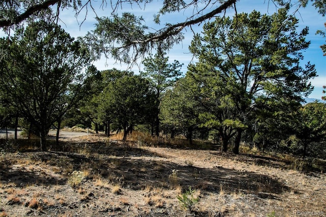 1262 Forest Grv, Crestone, CO 81131
