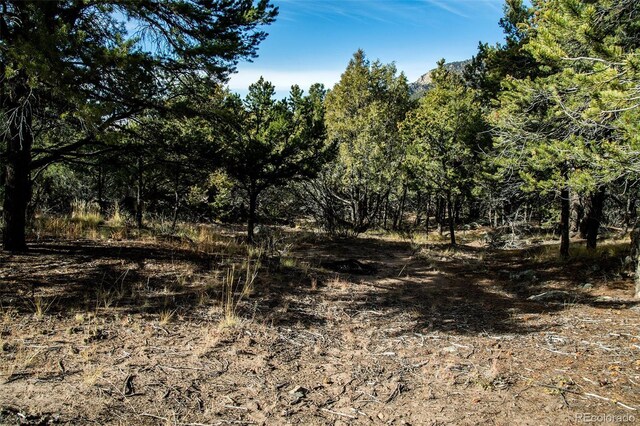 1262 Forest Grv, Crestone, CO 81131