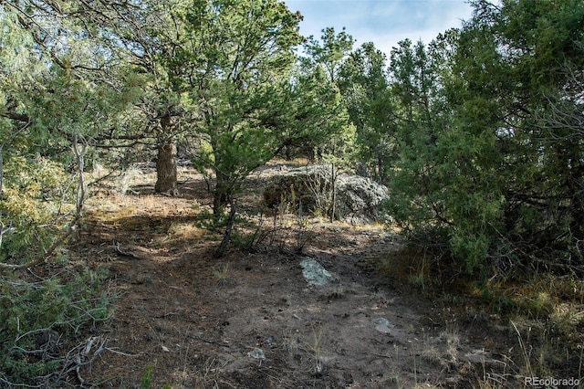 1262 Forest Grv, Crestone, CO 81131