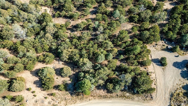 1262 Forest Grv, Crestone, CO 81131