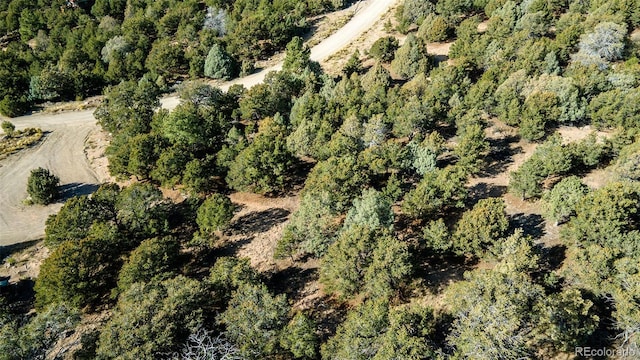 1262 Forest Grv, Crestone, CO 81131