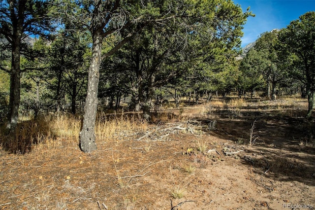 1262 Forest Grv, Crestone, CO 81131