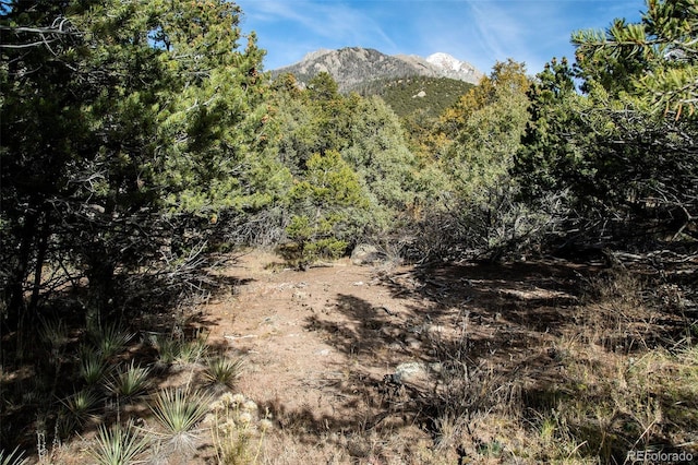 1262 Forest Grv, Crestone, CO 81131
