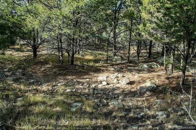 1262 Forest Grv, Crestone, CO 81131