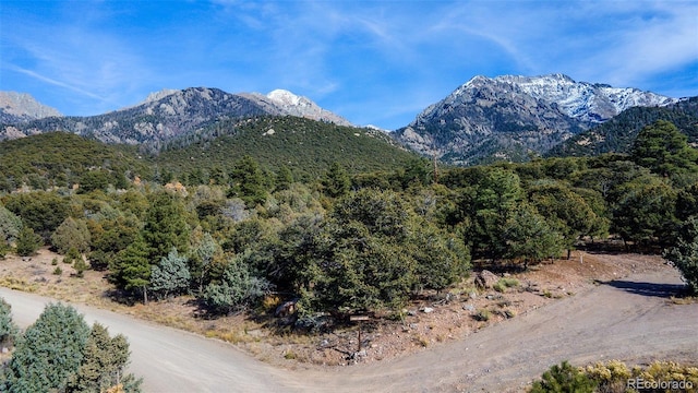 1262 Forest Grv, Crestone, CO 81131