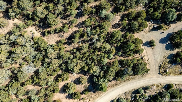 1262 Forest Grv, Crestone, CO 81131