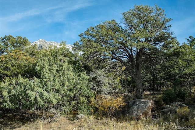 1262 Forest Grv, Crestone, CO 81131