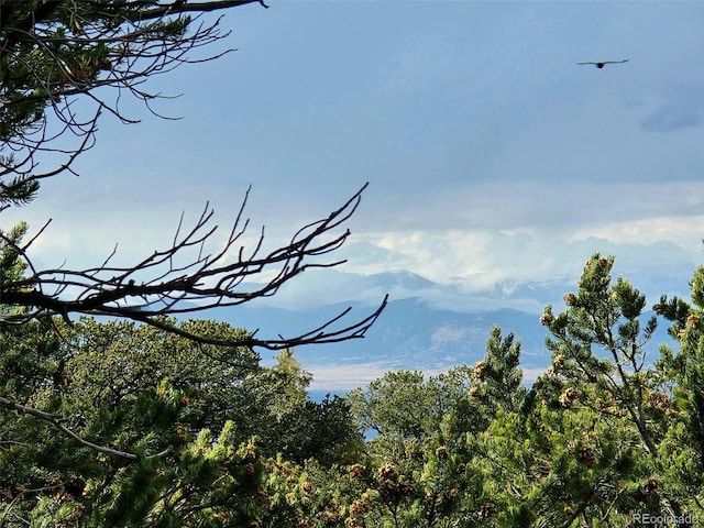 1262 Forest Grv, Crestone, CO 81131