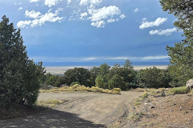 1262 Forest Grv, Crestone, CO 81131