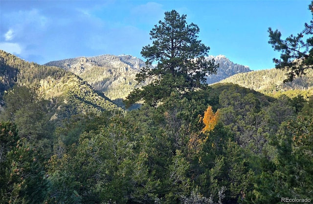 1262 Forest Grv, Crestone, CO 81131