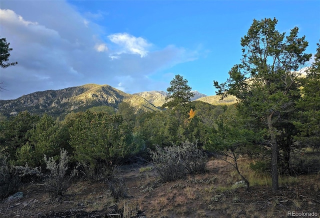1262 Forest Grv, Crestone, CO 81131
