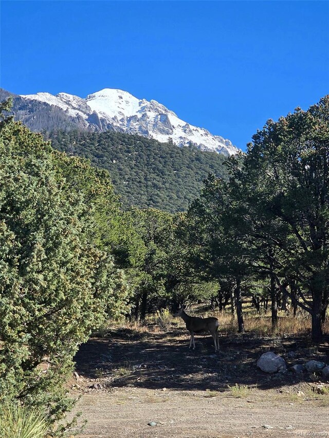 1262 Forest Grv, Crestone, CO 81131