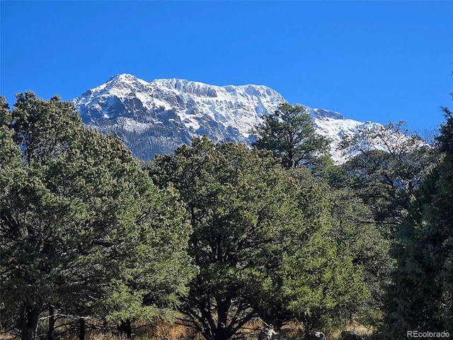 1262 Forest Grv, Crestone, CO 81131