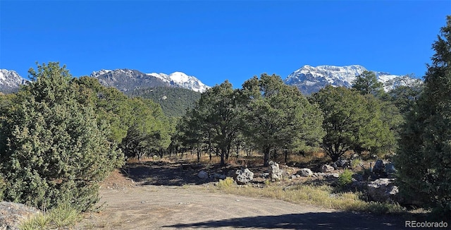 1262 Forest Grv, Crestone, CO 81131