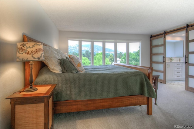 9 Blue Grouse Ridge Rd, Littleton, CO 80127 - photo 22