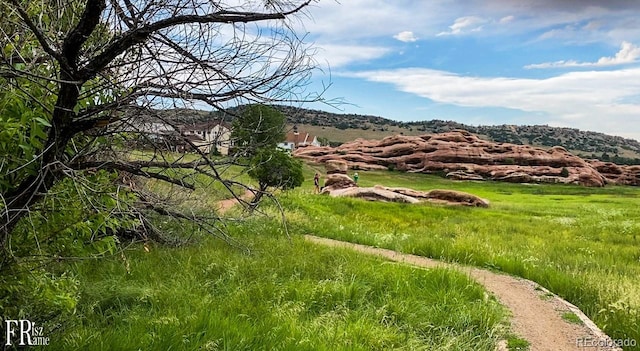 9 Blue Grouse Ridge Rd, Littleton, CO 80127 - photo 47