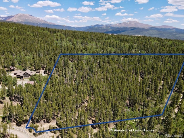 Melba Ln, Fairplay, CO 80440