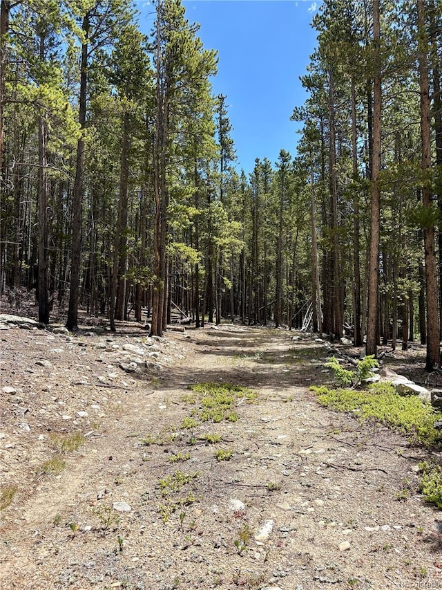 Melba Ln, Fairplay, CO 80440