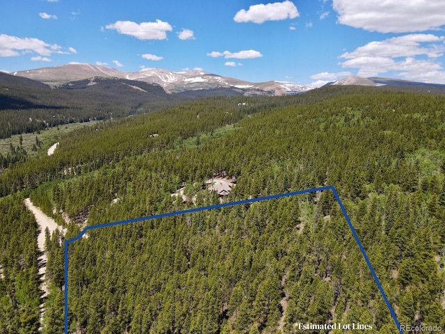 Melba Ln, Fairplay, CO 80440