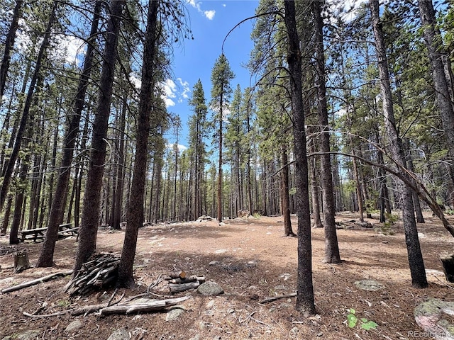 Melba Ln, Fairplay, CO 80440
