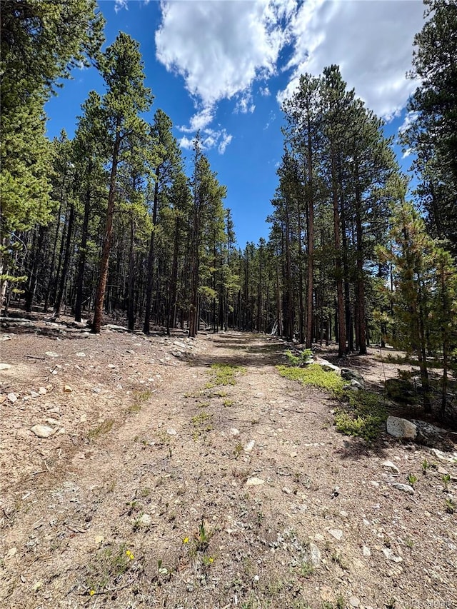 Melba Ln, Fairplay, CO 80440