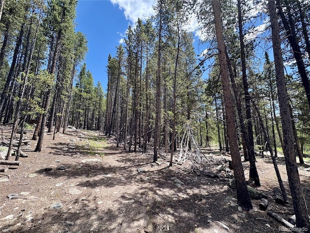 Melba Ln, Fairplay, CO 80440
