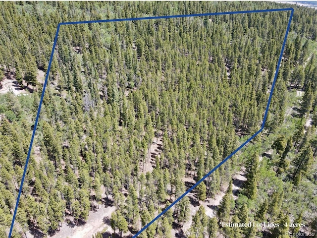 Melba Ln, Fairplay, CO 80440