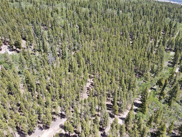 Melba Ln, Fairplay, CO 80440