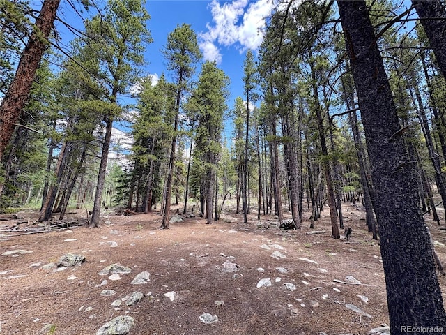 Melba Ln, Fairplay, CO 80440